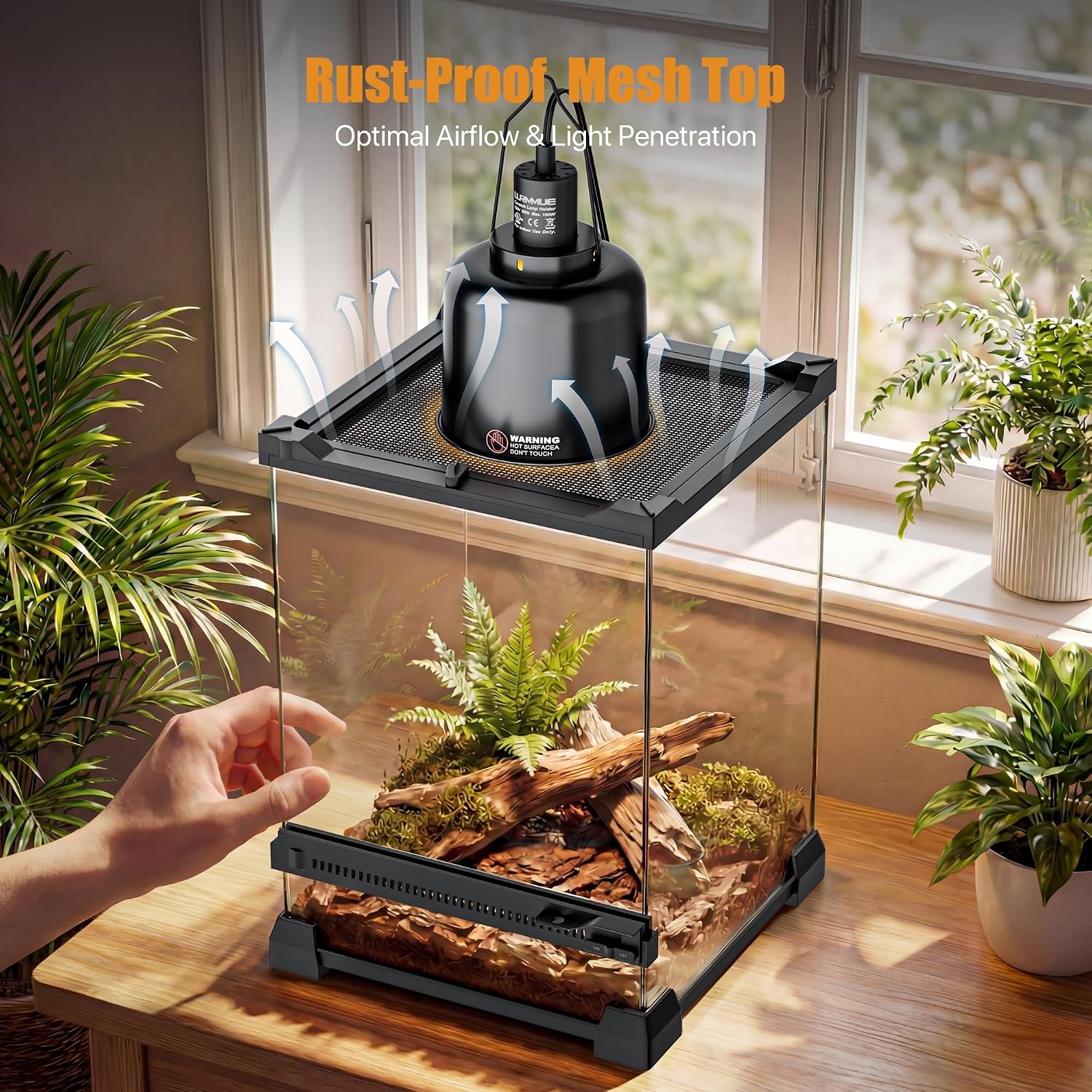 3 Gallon Fully Assembled Glass Reptile Enclosure, 8"x 8" x 12" | Tall Vertical Front-Opening Small Terrarium Tank for Hatchling & Juvenile Arboreal Reptiles & Amphibians thumbnail 5