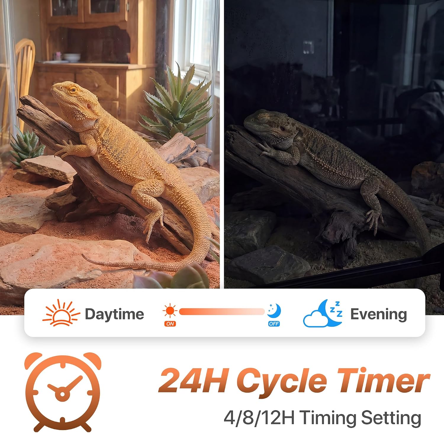LED UVB Reptile Light with Timer & Dimmer (12inch) | 12W Full Spectrum UVA UVB Lamp with 3 Lighting Modes,5-Level Dimmable,4/8/12H Cycle Timer,for Bearded Dragon,Gecko,Tortoise thumbnail 6