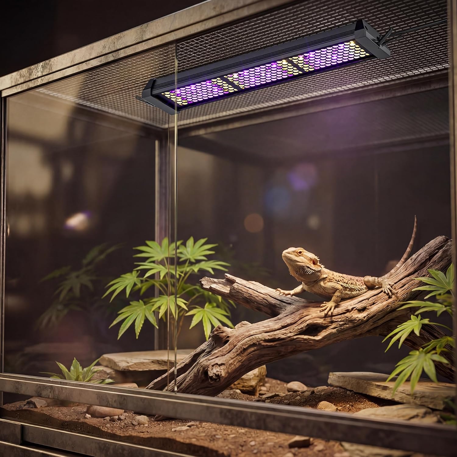 LED UVB Reptile Light with Timer & Dimmer (12inch) | 12W Full Spectrum UVA UVB Lamp with 3 Lighting Modes,5-Level Dimmable,4/8/12H Cycle Timer,for Bearded Dragon,Gecko,Tortoise thumbnail 2