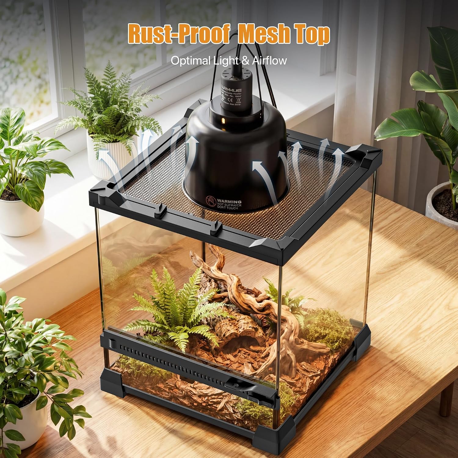 6 Gallon Fully Assembled Glass Reptile Enclosure,10"x 10" x 14" | Front Opening Tall Reptile Terrarium Tank for Baby Crested Geckos, Tree Frogs, Praying Mantises, Jumping Spiders thumbnail 3