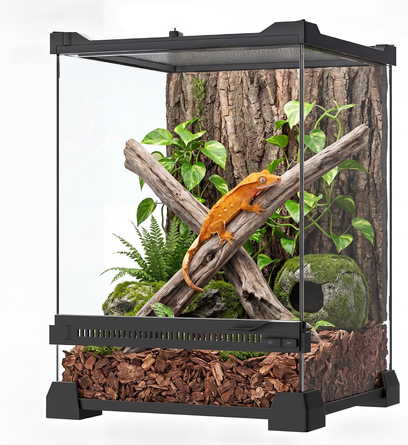 6 Gallon Fully Assembled Glass Reptile Enclosure,10"x 10" x 14" | Front Opening Tall Reptile Terrarium Tank for Baby Crested Geckos, Tree Frogs, Praying Mantises, Jumping Spiders