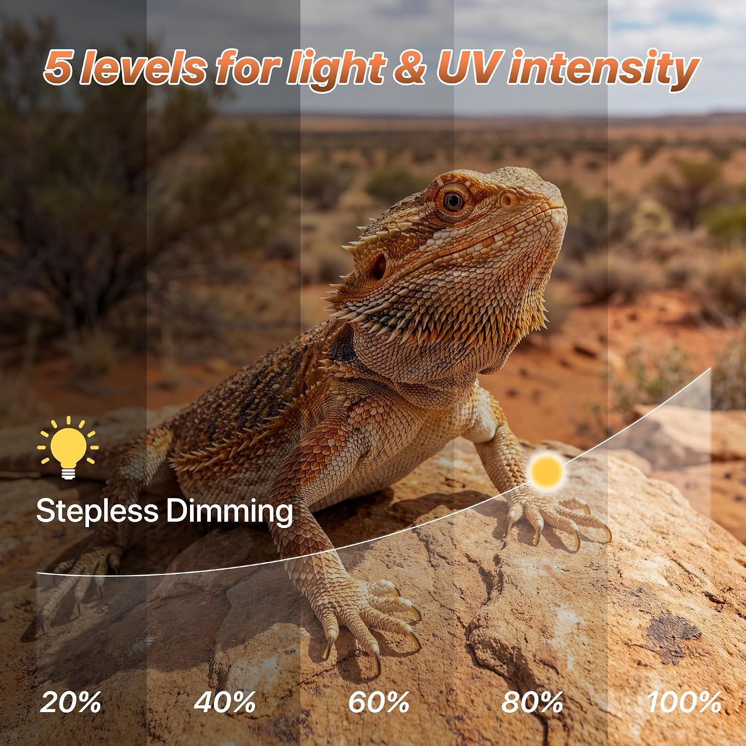 LED UVB Reptile Light with Timer & Dimmer (12inch) | 12W Full Spectrum UVA UVB Lamp with 3 Lighting Modes,5-Level Dimmable,4/8/12H Cycle Timer,for Bearded Dragon,Gecko,Tortoise thumbnail 5