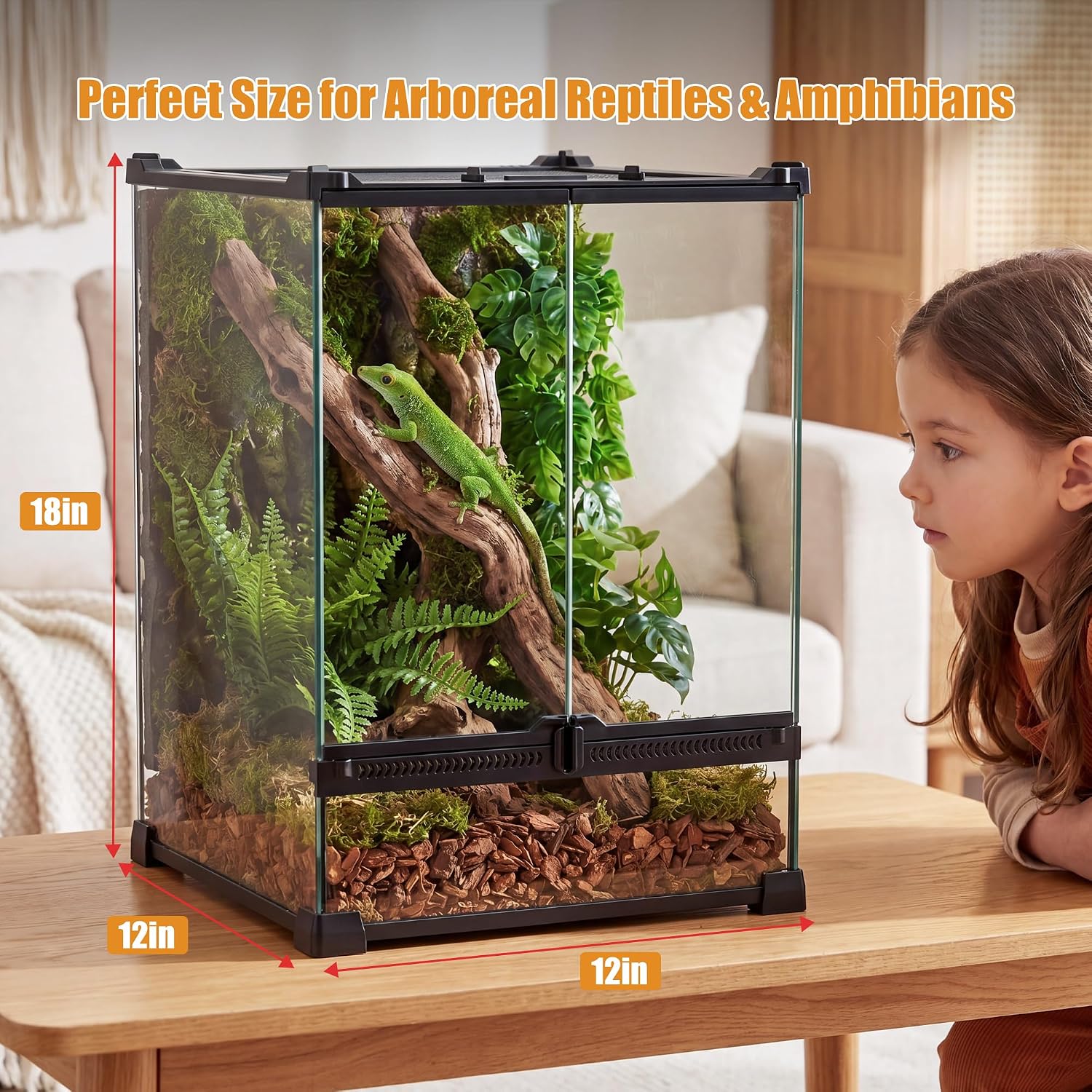 11 Gallon Fully Assembled Glass Reptile Enclosure,12"x 12" x 18" | Front Opening Tall Reptile Terrarium Tank for Crested Geckos, Tree Frogs & Other Arboreal Reptiles and Amphibians thumbnail 9