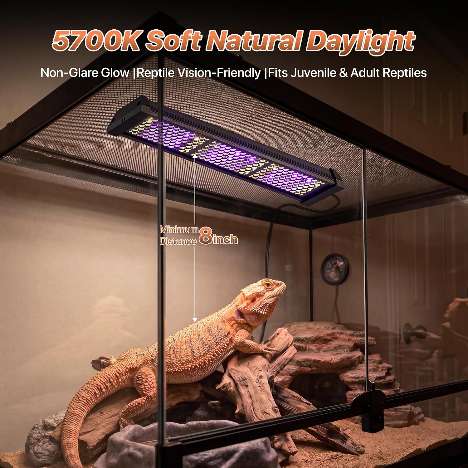 LED UVB Reptile Light with Timer & Dimmer (12inch) | 12W Full Spectrum UVA UVB Lamp with 3 Lighting Modes,5-Level Dimmable,4/8/12H Cycle Timer,for Bearded Dragon,Gecko,Tortoise thumbnail 4
