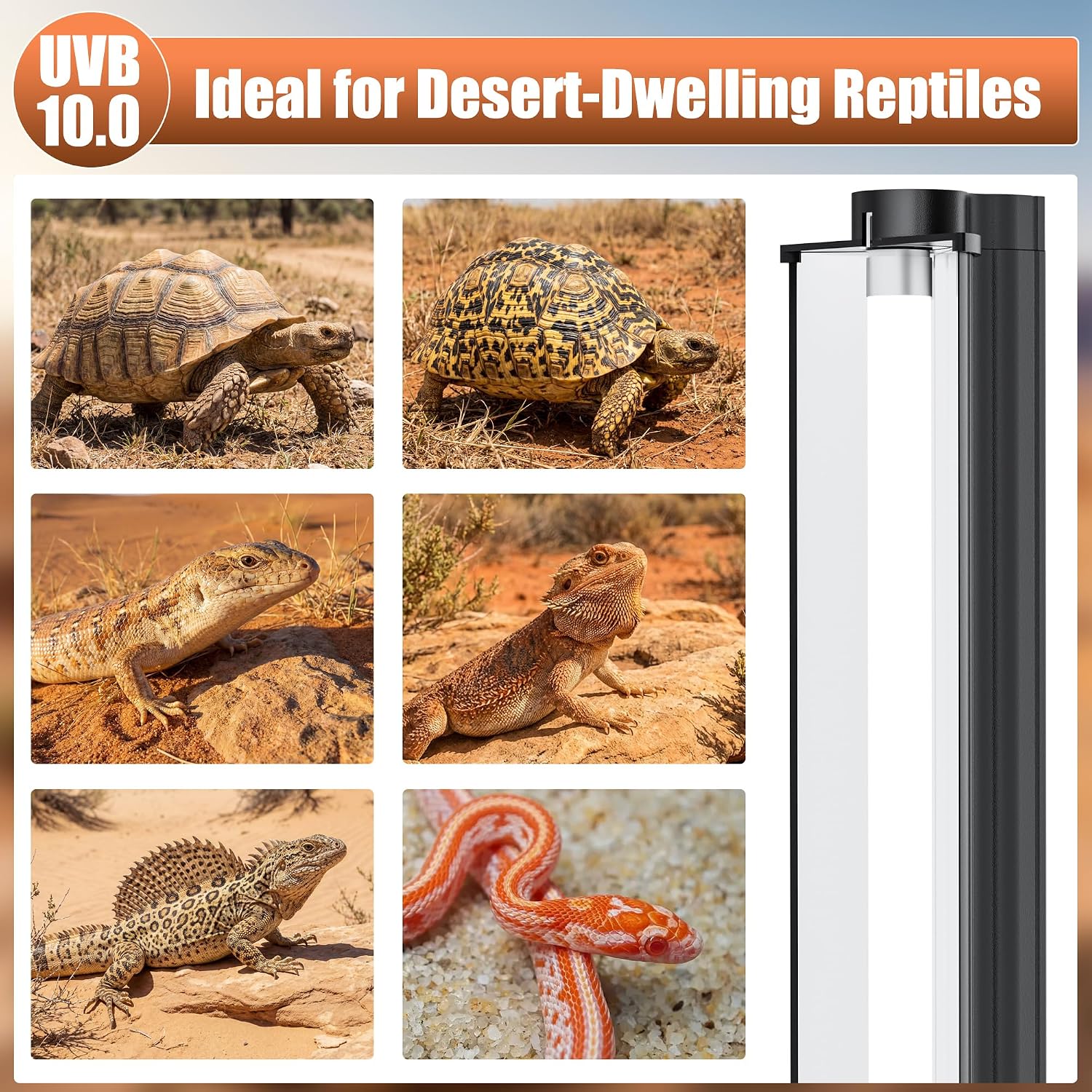 T5 UVB 10.0 Reptile Light Fixture Combo Kit (12Inch) | 8W UVB 10.0 Light Bar with T5 HO Terrarium Hood Light Fixture for Desert Reptiles, Bearded Dragons, Lizards, Tortoises thumbnail 7